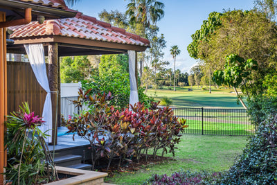 One Day Meditation Retreat